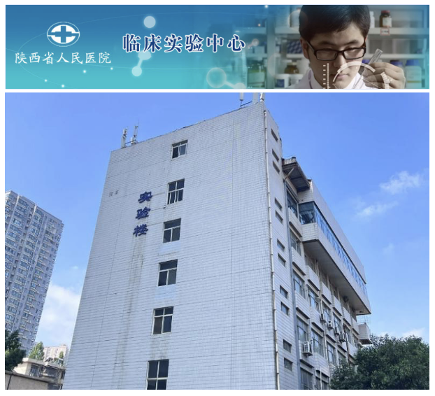 工作了13年的老前辈，还跟刚进实验室一样年轻