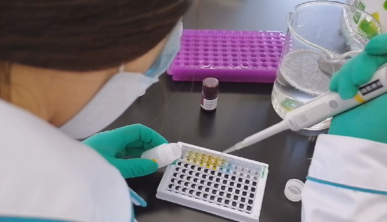 【本生小课堂】怎样减少ELISA检测试剂盒实验中的产生误差？