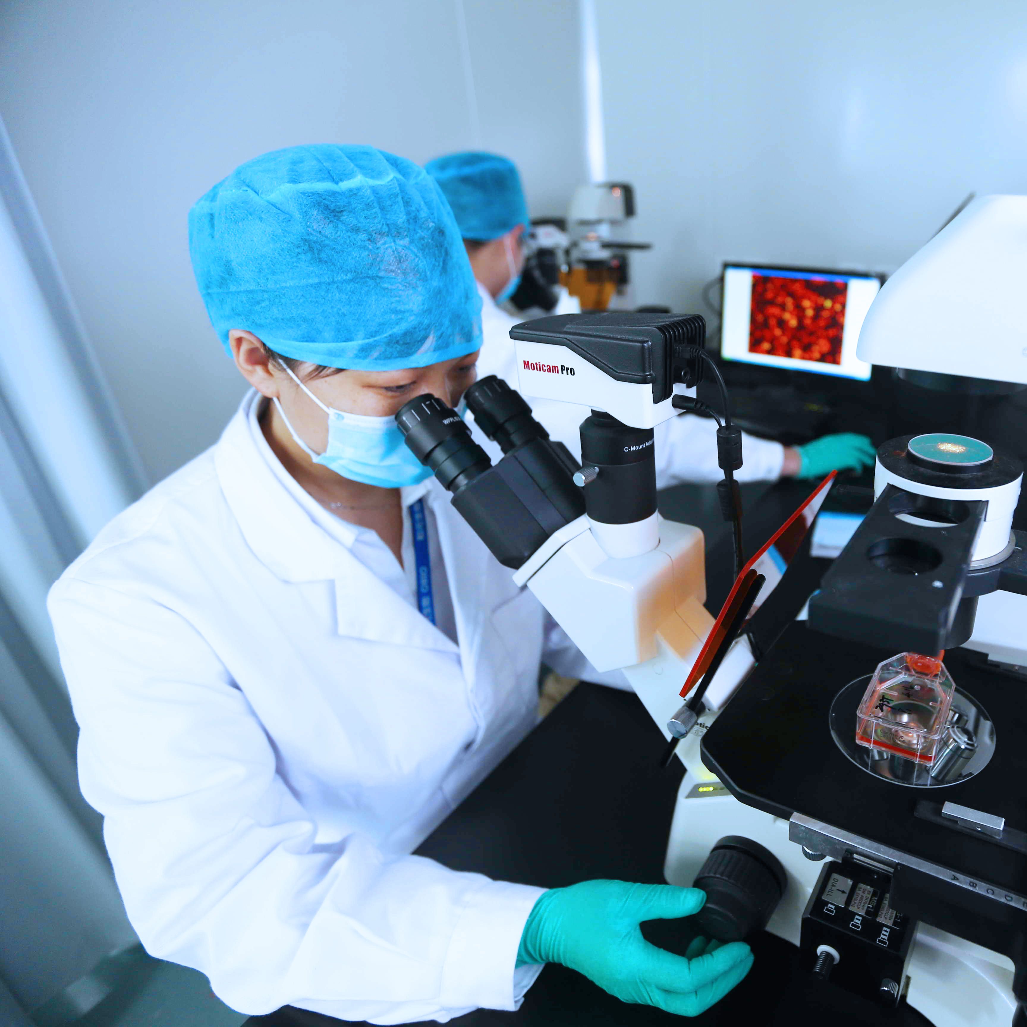 10x Visium HD空间转录组测序