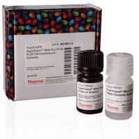Thermo Scientific 34579 SuperSignal West Pico PLUS 化学发光底物 20 mL