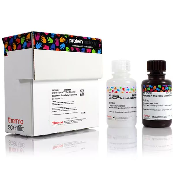 34095 赛默飞 SuperSignal West Femto 超敏化学发光底物 100 mL