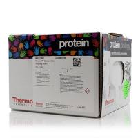 Restore Western 印迹剥离缓冲液 Thermo 21063  5 L