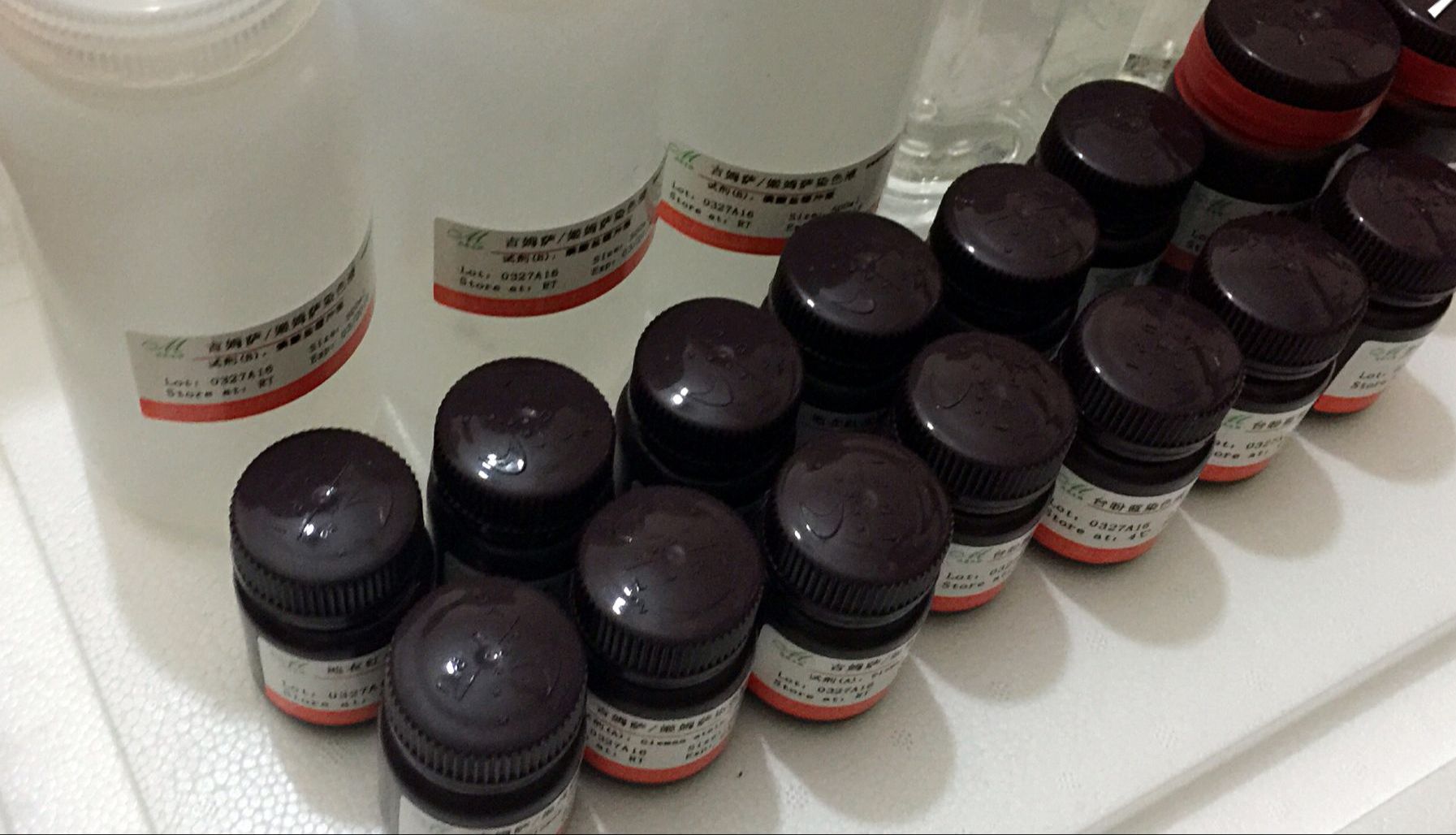 细胞凋亡的生化特征表现在这几点