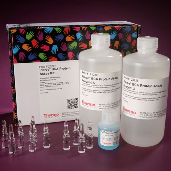 23227 Thermo Pierce BCA 蛋白定量试剂盒 500 mL 现货