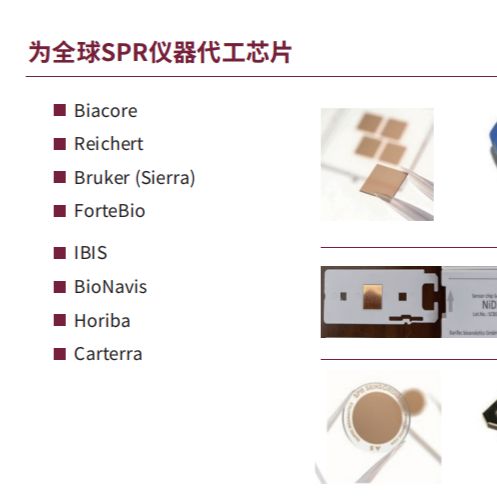 德国XanTec生物芯片公司提供SPR生物传感芯片Biosensor Chips