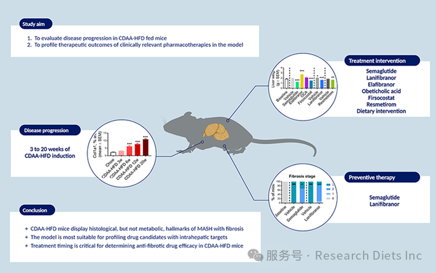 评估 CDAA-HFD 小鼠模型在临床前 MASH 与纤维化的适用性及对六种临床药物干预的反应