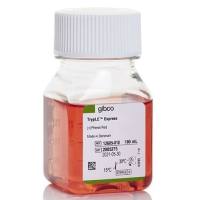 TrypLE™ Express 酶 (1X)，含酚红，12605010-100mL