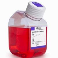 Neurobasal™-A 培养基,10888022-500mL