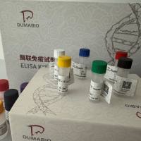人多聚免疫球蛋白受体(PIGR/SC)酶联免疫试剂盒