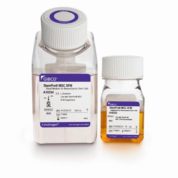 A1033201 Gibco CTS StemPro MSC SFM培养基 500 mL 干细胞培养基