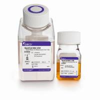 A1033201 Gibco CTS StemPro MSC SFM培养基 500 mL 干细胞培养基