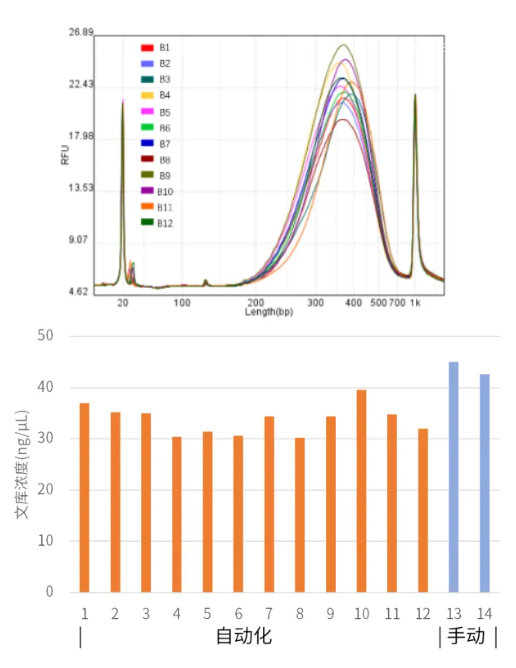 中国智造，不止可靠——翌圣生物携手华大智造，共创高效智能化建库新模式