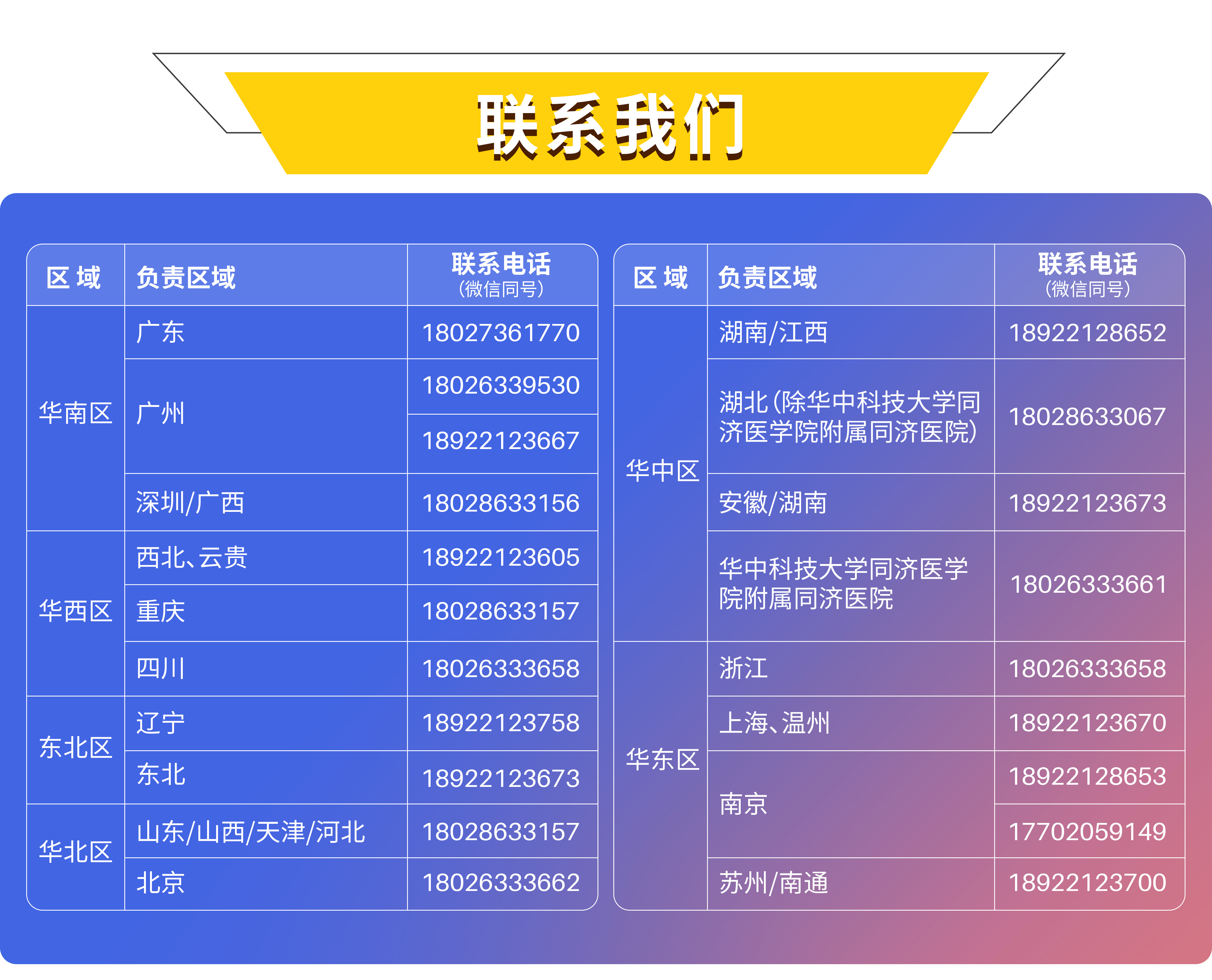 基因沉默的艺术：锐博生物siRNA家族全解析，让科研更“静”一步！