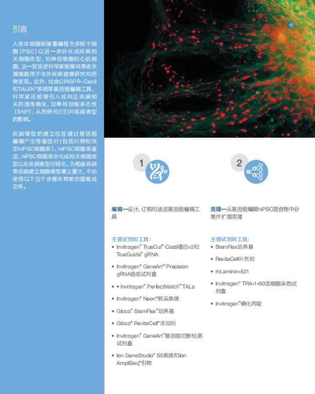 【实验方案手册】5步法构建帕金森疾病模型