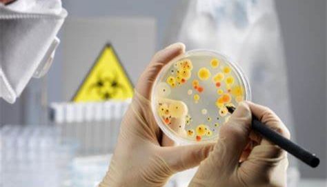 念珠菌显色培养基实验原理