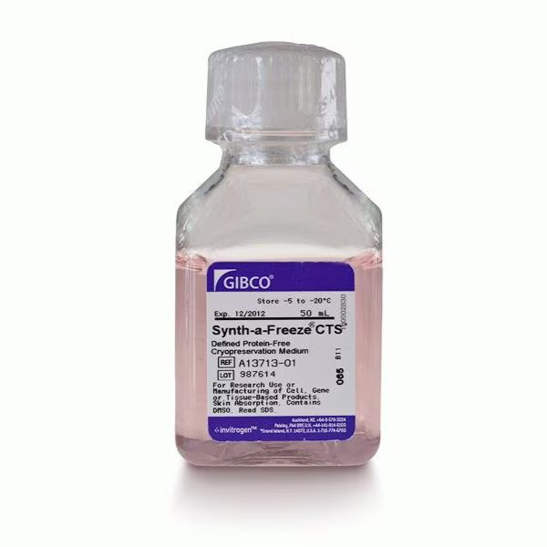 A1371301 Gibco CTS Synth-a-Freeze 冻存液 50 mL 冻存细胞专用