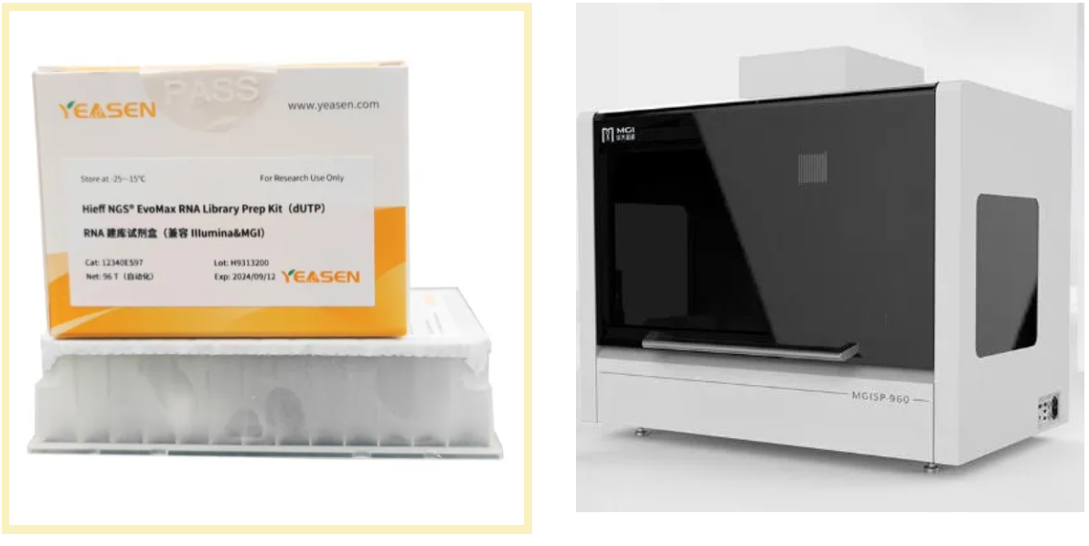 中国智造，不止可靠——翌圣生物携手华大智造，共创高效智能化建库新模式