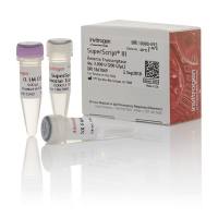 Invitrogen SuperScript III 反转录酶 18080093 10 次反应 