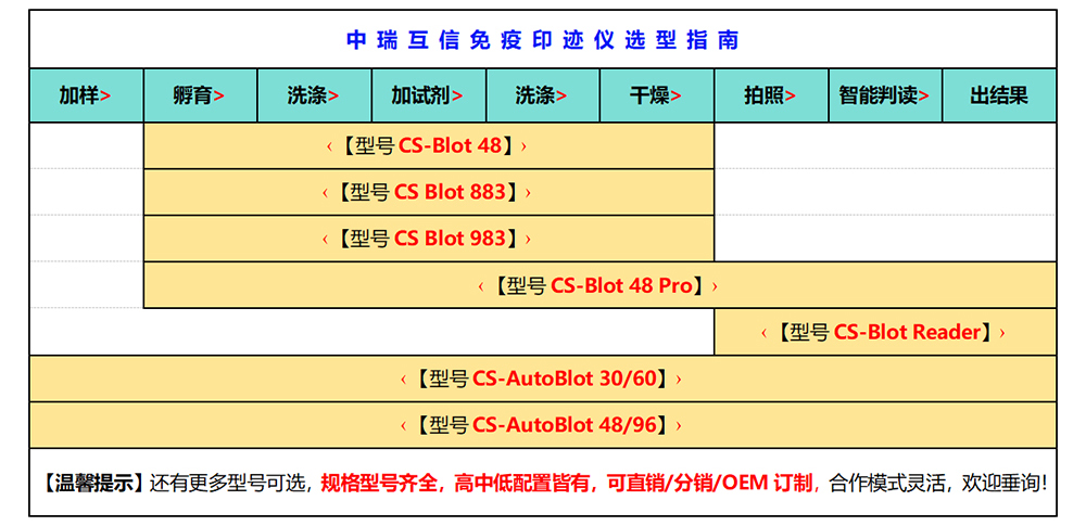 蛋白免疫印迹分析仪