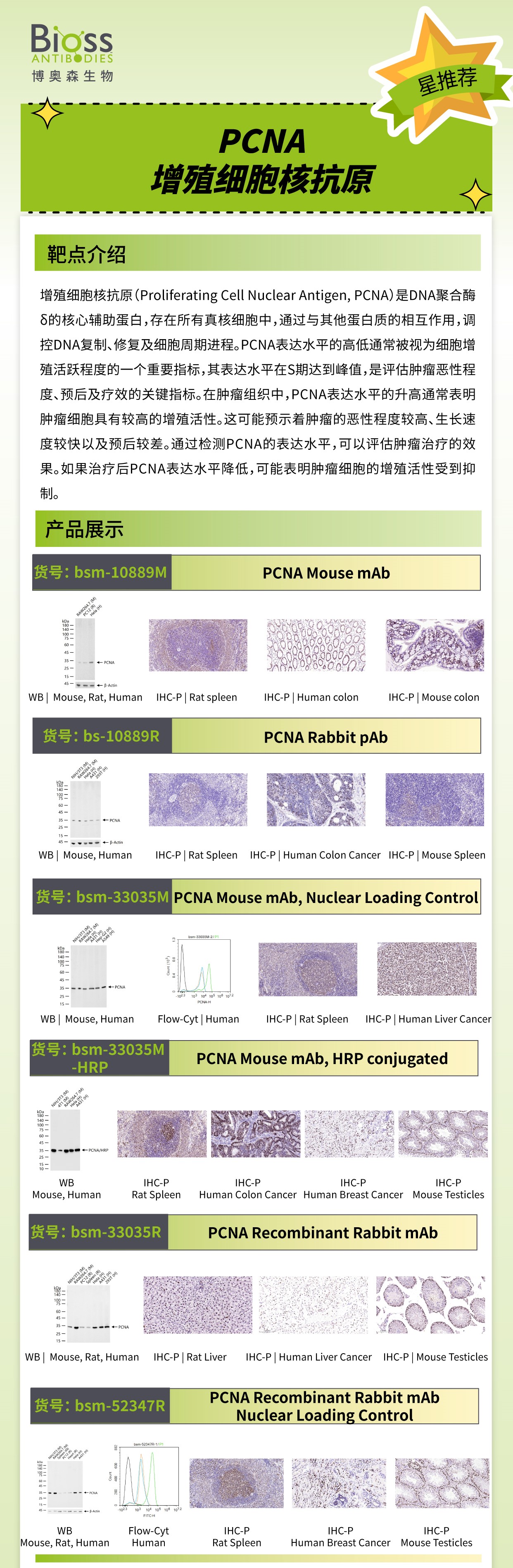 Bioss 星推荐 | PCNA
