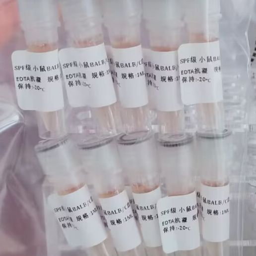 重组乙型肝炎表面抗原HBsAg