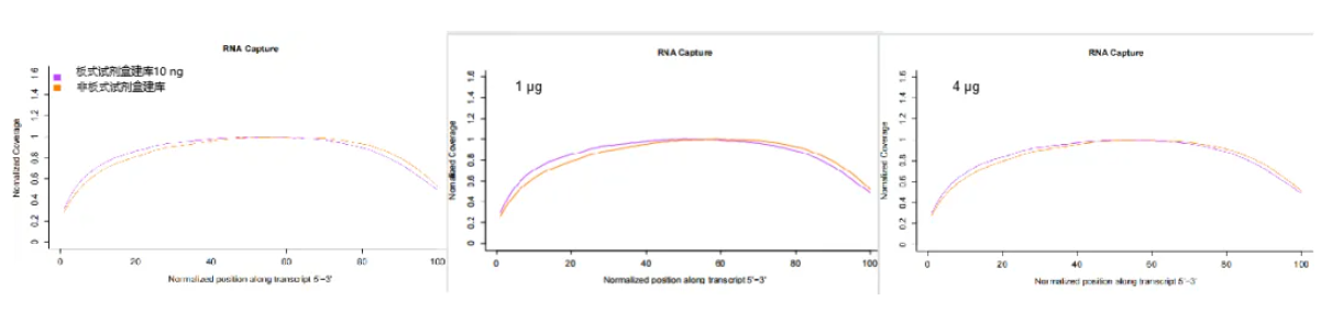 中国智造，不止可靠——翌圣生物携手华大智造，共创高效智能化建库新模式