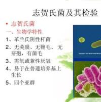 志贺氏杆菌抗体-Ab快速检测卡(胶体金法)说明书