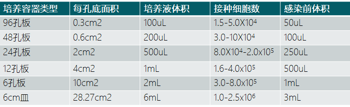 新品速递 | 手把手教学！慢病毒转染实操超全攻略来了!