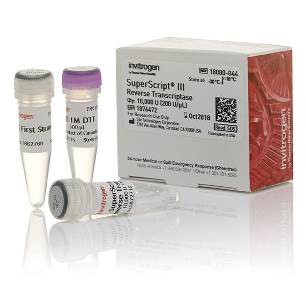赛默飞 18080044 SuperScript III 反转录酶 50 次反应 现货供应