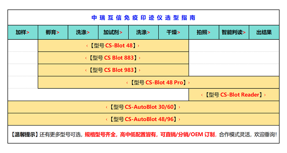全自动蛋白印迹仪