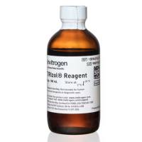 Invitrogen 15596026CN TRIzol 试剂 RNA提取试剂 100mL 