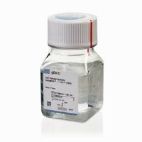 赛默飞Gibco A1286001 CTS GlutaMAX-I添加剂 100 mL 细胞培养添加剂