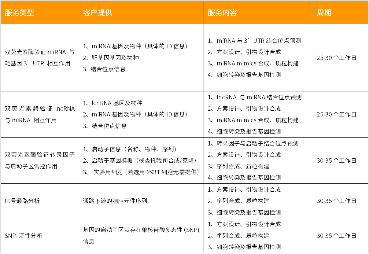上新 | 双荧光素酶报告基因检测服务震撼上线，开启精准基因研究新视界