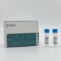 pLV3-CMV-HNRNPC(human)-Myc-mCherry-Puro