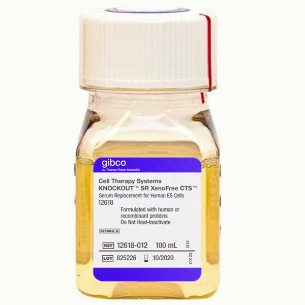 Gibco 12618013 CTS KnockOut SR XenoFree培养基  500 mL 