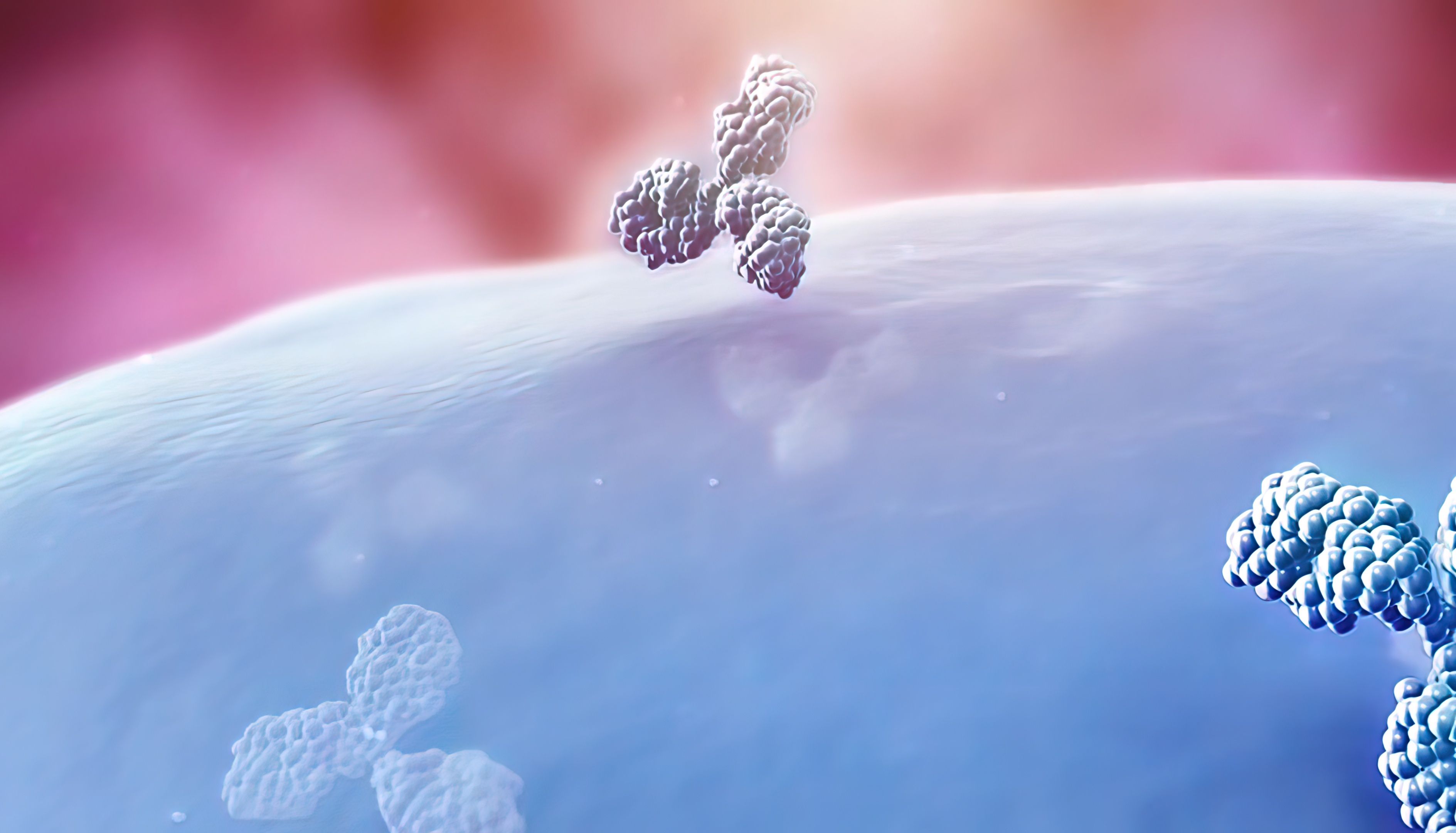 ADC抗体偶联技术方法介绍