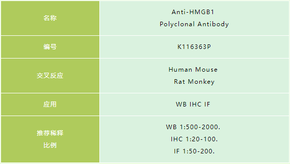 抗体产品星推荐第二十五期|Anti-HMGB1 Polyclonal Antibody