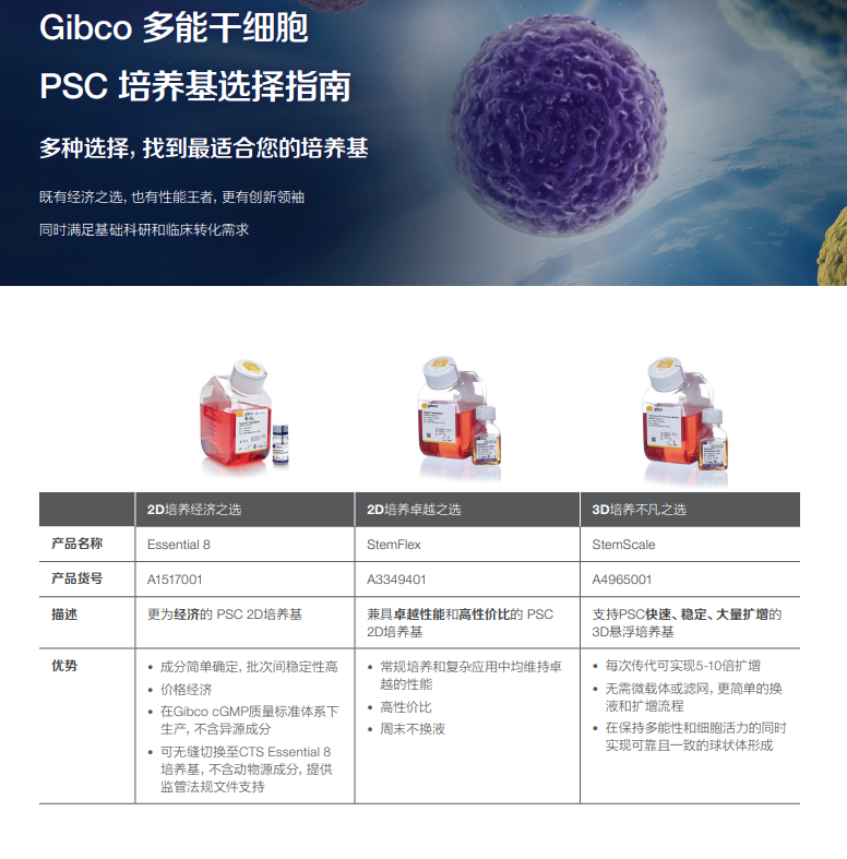 【产品资料】Gibco多能干细胞PSC培养基选择指南