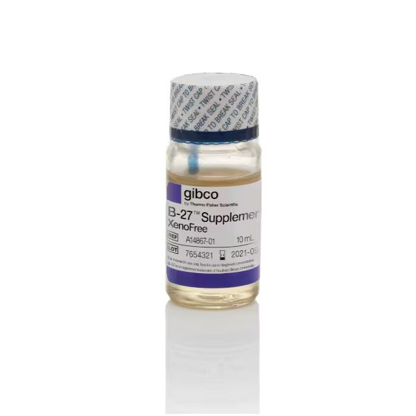 Gibco A1486701 CTS B-27 XenoFree添加剂 无动物成分添加剂 10 mL 