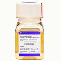12618012 Gibco CTS KnockOut SR XenoFree培养基 100 mL