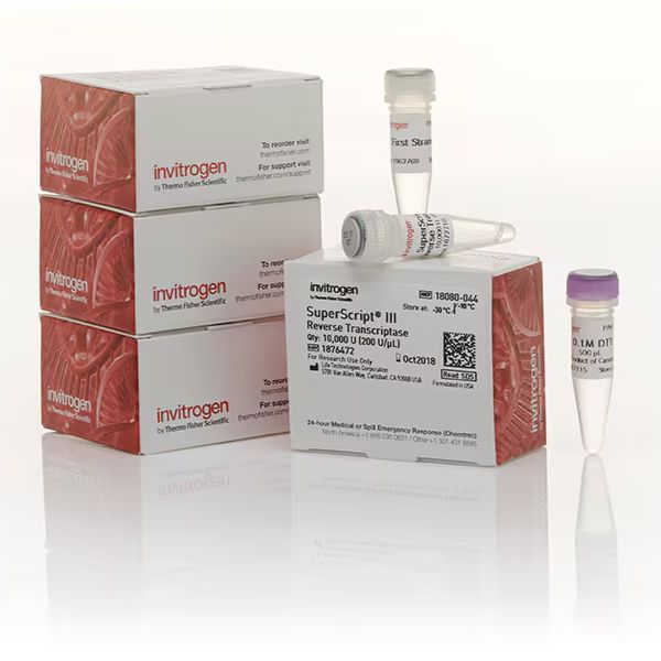 Invitrogen 18080085 thermo SuperScript III 反转录酶 200 次反应