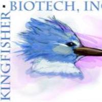 Anti-rabbit CD4 monoclonal antibody (clone RTH1A)