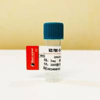 100μg，重组猪细小病毒VP2蛋白，PPV-VP2 抗原，PPV病毒抗原，猪细小病毒抗原