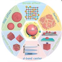 熊果酸自组装纳米粒被茴香酰胺修饰