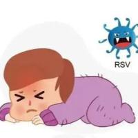 呼吸合胞病毒RSV快速检测卡(胶体金)说明书