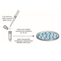 Lenti-X Packing Single Shots(VSV-G)(Takara 631276 现货特卖)