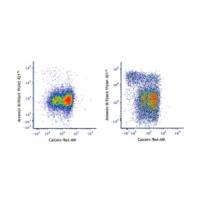 Calcein Red-AM(Biolegend 425205 现货特卖)