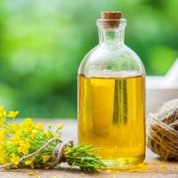 植物油脂肪酸含量测定 