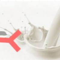 Monoclonal Mouse Anti-casein（Bovine）小鼠抗牛酪蛋白