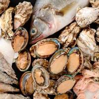 水产品色素类物质检测